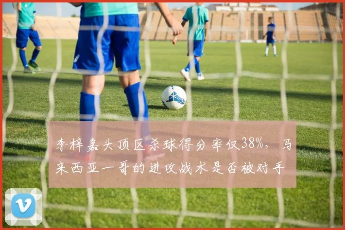 李梓嘉头顶区杀球得分率仅38%,马来西亚一哥的进攻战术是否被对手研究透彻?